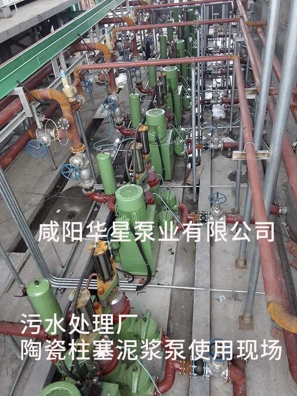 污水處理廠(chǎng)使用壓濾機專(zhuān)用泵